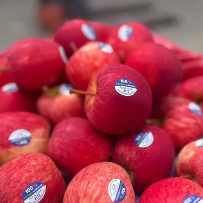 Rose Apples - Phalke Fresh
