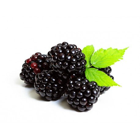 Blackberries - Phalke Fresh