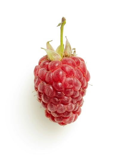 Raspberries - Phalke Fresh